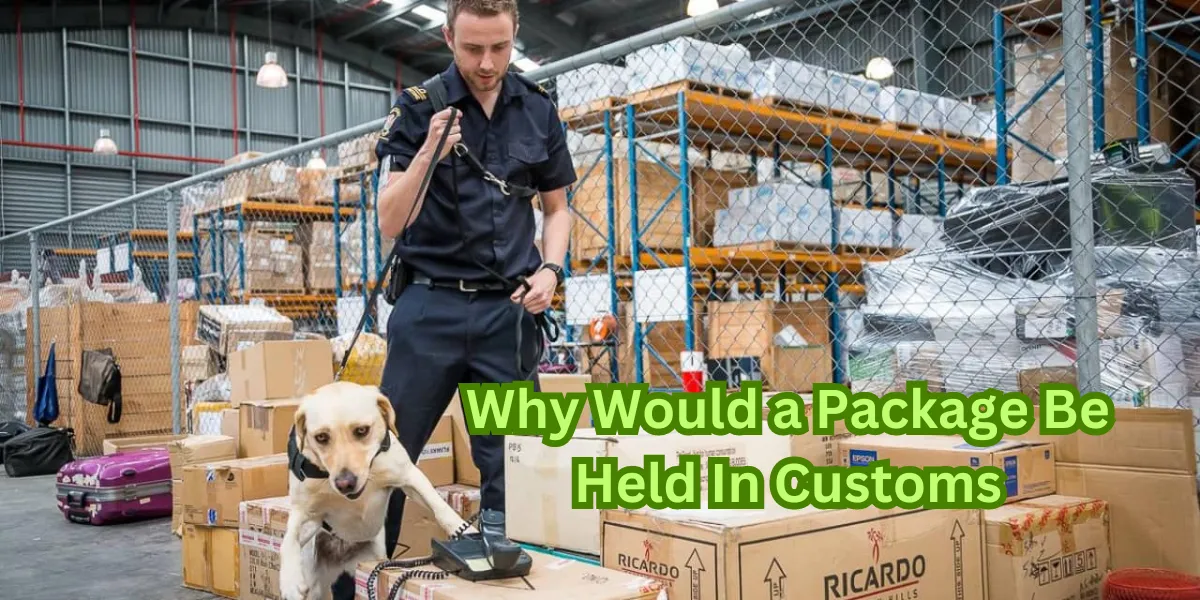 Why Would a Package Be Held In Customs