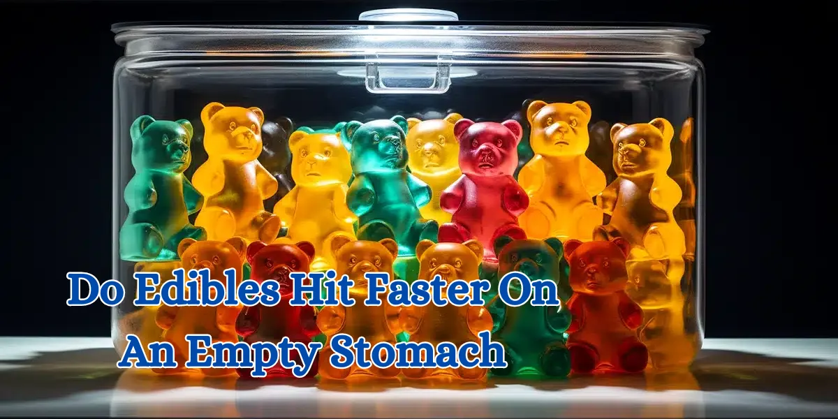 Do Edibles Hit Faster On An Empty Stomach (1)